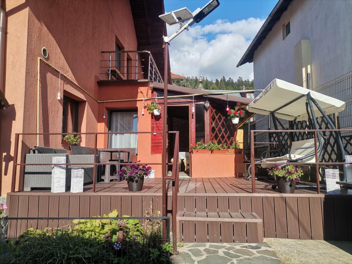 Casa Dixi Hotel Busteni Exterior photo